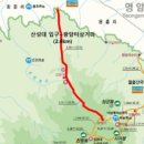 월출산민물장어