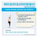 2023,05,01바디버든,와이존 다이어트 이미지