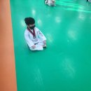 금빛나래 태권도장 이미지