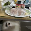 백사횟집