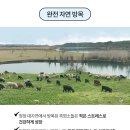 동규축산 네이버블로그