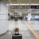 명송민박 이미지