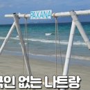 썬팍스