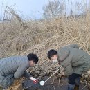 보건소 화장실 이미지
