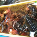 안의상회 이미지