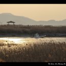 순천만 풍경 이미지