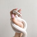 에코동물병원 이미지