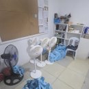 책 보고 생각하고 토론하고 | [여행] 필리핀 세부 어학원 Eglish Fella 2 캠퍼스 시설 및 느낌, 펠라 선택 이유, 느낌