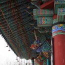 단청장 | 대웅보전(大雄寶殿). 용주사(龍珠寺). 화성시(華城市)