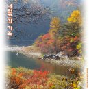 둥구리마을 | 속고 속이던 가을...(다시 가 본 단풍로드, 살둔계곡,내린천길,방내천길)