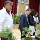 개령초등학교 이미지