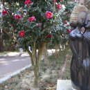 애기등 공원 이미지