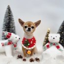 마실오개 이미지