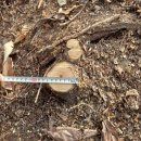 은평-042 이미지