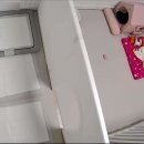 동양애견 강아지분양 고양이분양 이미지