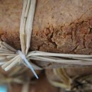 민가농장 이미지