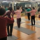 매일스포렉스 이미지