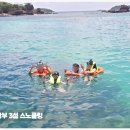스노클링 이미지
