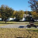 공릉관광지 캠핑장 이미지