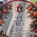 미로파크 | [제주 서귀포 가볼만한곳 🌿 중문미로파크 아이와함께 이색체험 후기]