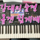 쏠전자올겐