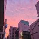 정연채내과 앞 노상 | 영등포 야장 포차거리 아빠네 포장마차 통골뱅이 맛집