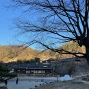 모모리찌 | 안동여행코스 내돈내산 산콕 태교여행 (구름에리조트 일직식당 남실네 옥야식당 봉정사 구름에오프 카페볕)