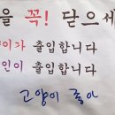 소소드림 티스토리