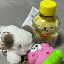 행운게임방 이미지