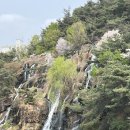 캥거루 연쇄점 | 홍제천 인공폭포_연희 숲속 쉼터, 안산 벚꽃길, 안산 허브원(서울 나들이 명소)