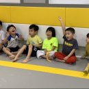 국가대표 경희대 빛 태권도 이미지