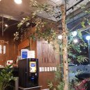 코다리안 이미지