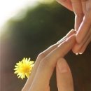 세류2리 이미지