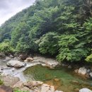 내원계곡라온펜션 이미지