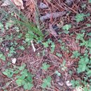 신의한수농장 이미지