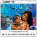 50% 할인받고 1만원대로 다녀온 내돈내산 후기! 비오는날 9개월 아기랑 서울 실내 가볼만한 곳 추천
