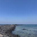 평화대공원 | 제주 김녕 목지섬 방문 후기: 제주 동쪽 해안도로 가볼 만한 곳 숨은 명소