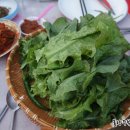 솔미농원 이미지