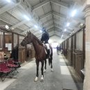 실내승마장(관람석) | 16. [세인트이콰인] 두번째 시합에서 입상한 초보의 기승일기 (스압주의)