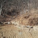 쇠골농장 이미지