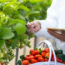 두모1리 이미지