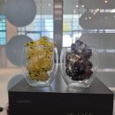 지니공인중개사사무소 이미지