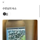 스테이마음결 이미지