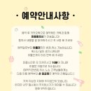 모노퍼피 | 말티푸 쵸파 미용 후기 🐶 대전 애견미용실 ‘모노퍼피’ 첫 방문