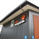 오렌지 애견카페 이미지