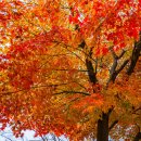 청계산수변공원 이미지