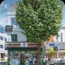 펜드로잉&어반스케치 중급 이미지