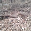 비산3동-1 이미지