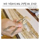 삼다해물뚝배기 | 가족모임 맛집 찾는다면 여기! 제주도 서귀포 중문 맛집 중문삼다통갈치 갈치구이정식