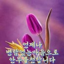 정성가득의료기 Daum카페